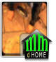 Tile repair and Installation